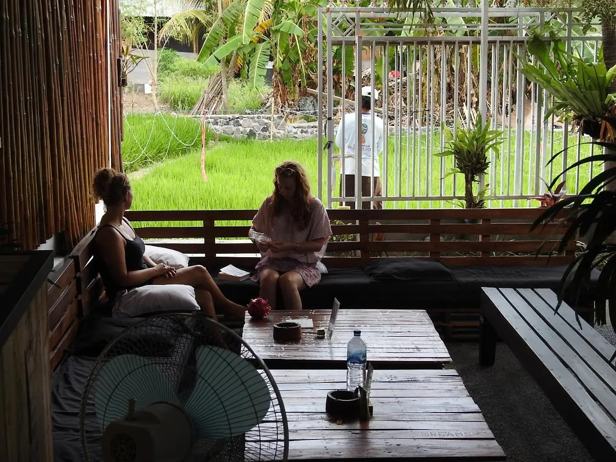 Auberge de jeunesse Surfers House Berawa à Canggu Indonésie